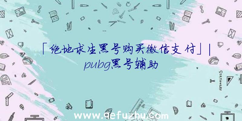 「绝地求生黑号购买微信支付」|pubg黑号辅助